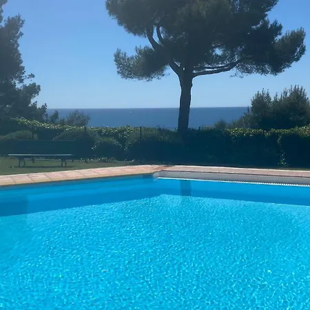 With Terrace, Sea View, Swimming-pool & Sunset Saint-Mandrier-sur-Mer